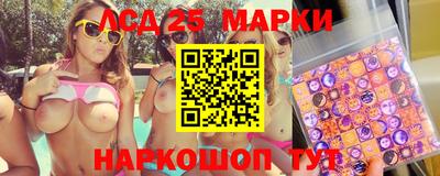 apvp Свободный