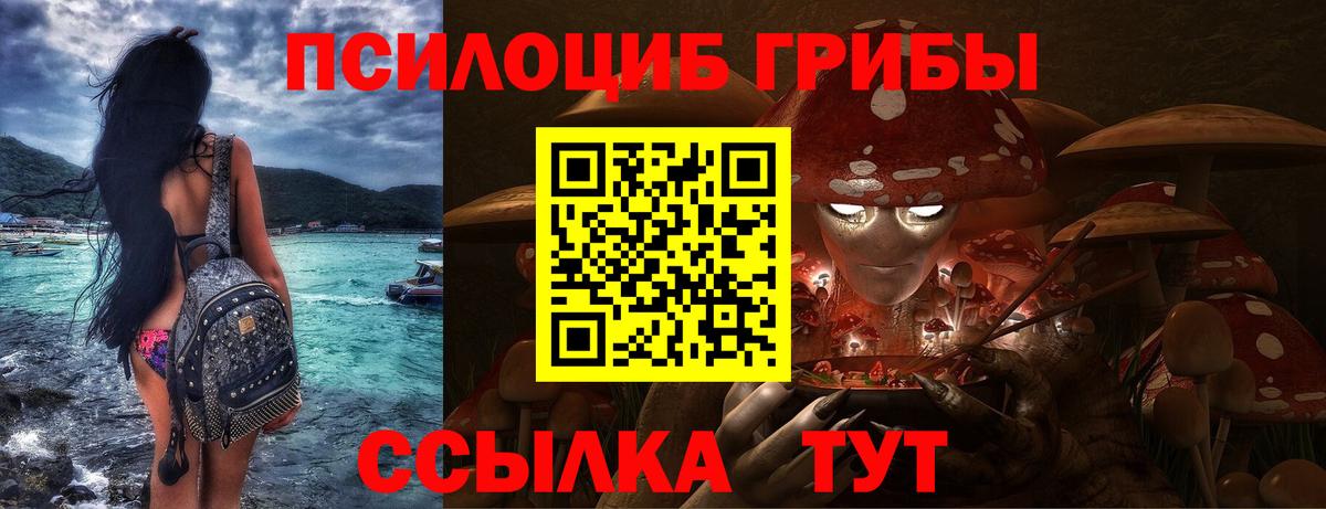 Псилоцибиновые грибы Cubensis  Вход с VPN  Советский  Псилоцибиновые грибы MAGIC MUSHROOMS 