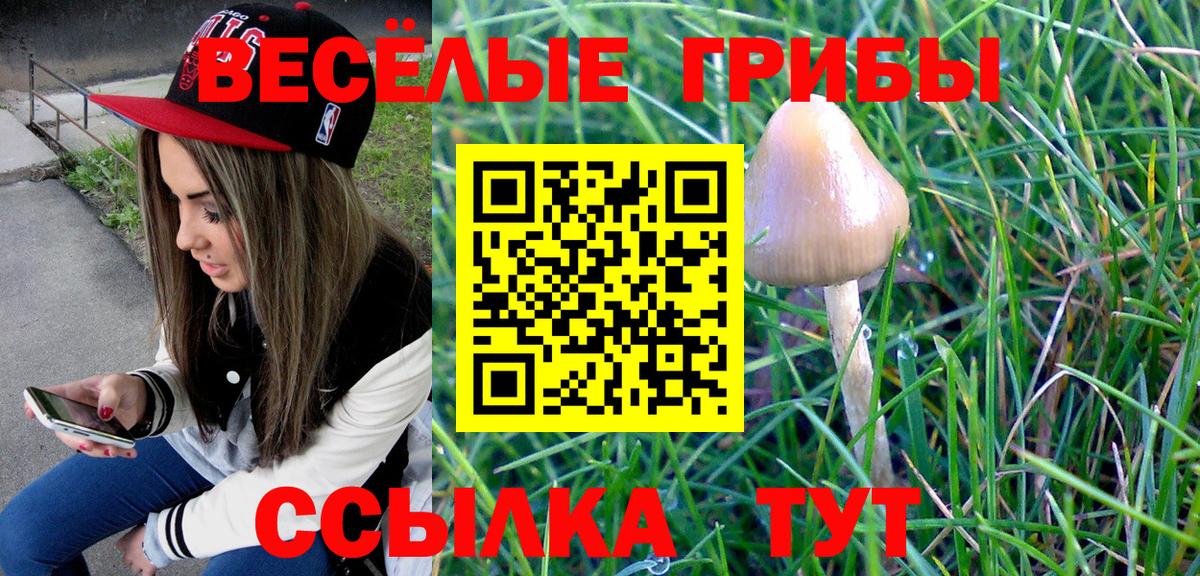Псилоцибиновые грибы Magic Shrooms Советский
